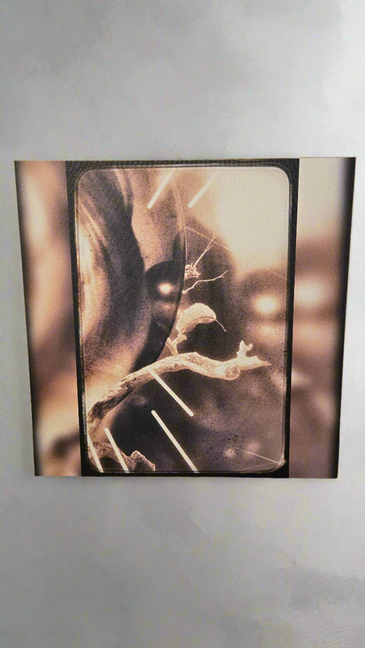 Abstract Canvas "See Me" created by AC Wheeler