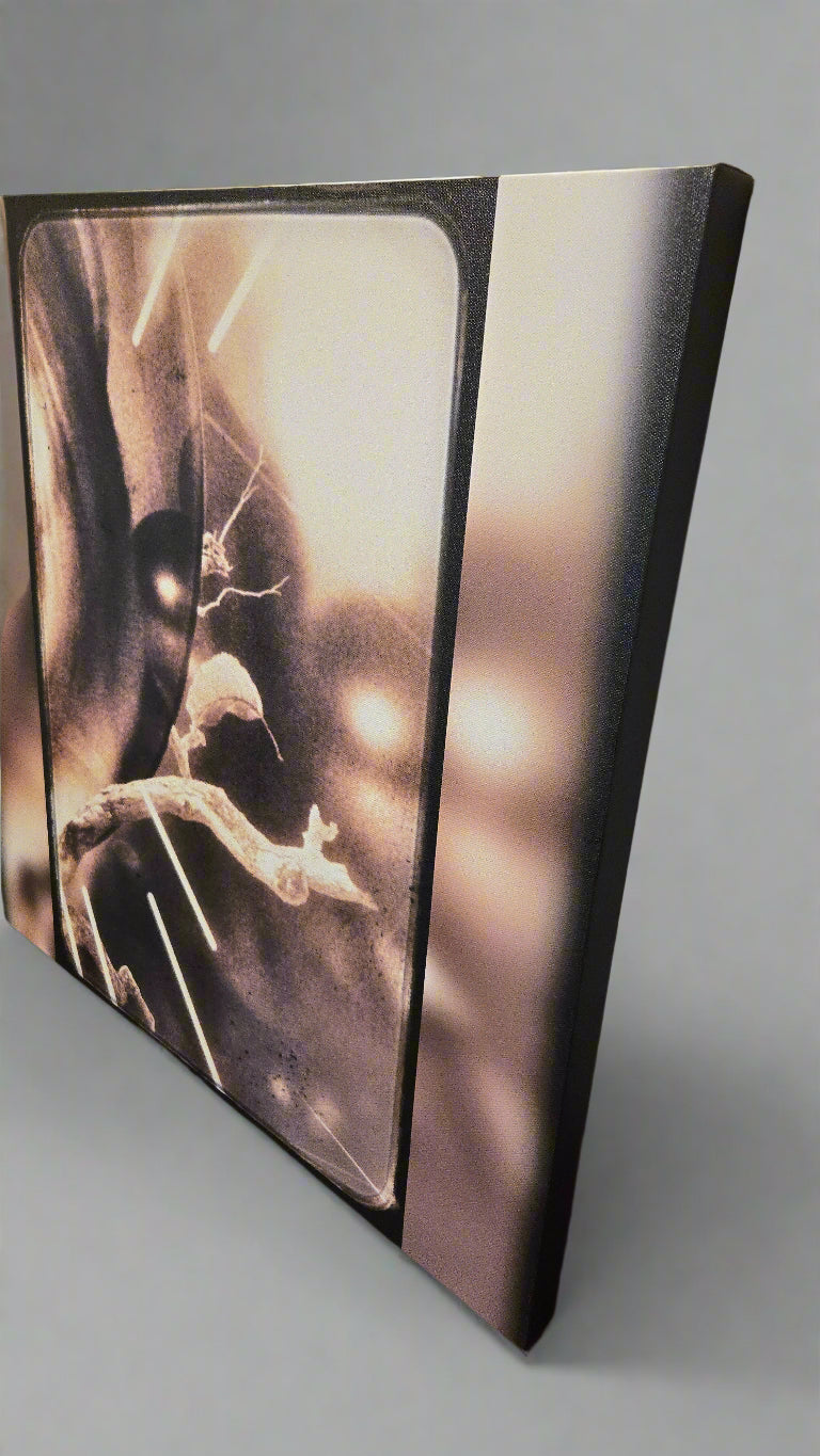 Abstract Canvas "See Me" created by AC Wheeler