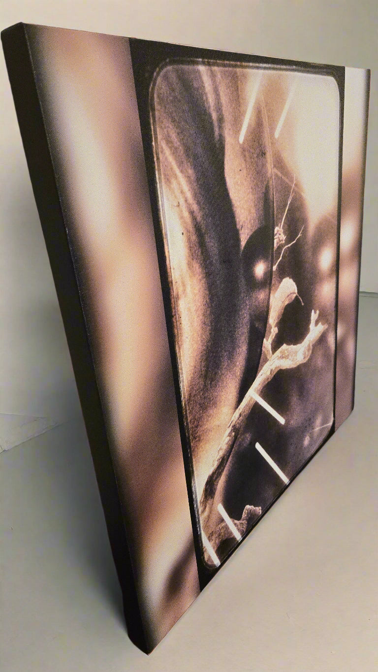Abstract Canvas "See Me" created by AC Wheeler